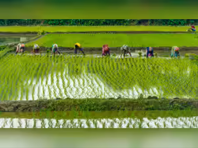 Gadkari Urges Farmers to Become India’s Next Energy Entrepreneurs